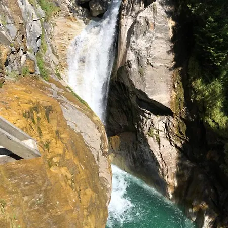 Kuhglocken Fuenf Sinne